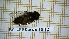  ( - BC-LPRCorse1842)  @11 [ ] Copyright (2020) Thomas Lebard Unspecified