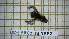  ( - BC-LPRCorse1862)  @11 [ ] Copyright (2020) Thomas Lebard Unspecified