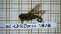  ( - BC-LPRCorse1878)  @11 [ ] Copyright (2020) Thomas Lebard Unspecified
