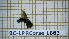  ( - BC-LPRCorse1883)  @11 [ ] Copyright (2020) Thomas Lebard Unspecified