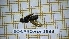  ( - BC-LPRCorse1888)  @11 [ ] Copyright (2020) Thomas Lebard Unspecified
