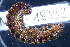  ( - 18992-CARABIN)  @11 [ ] Creative Commons (2025) Mathieu Coulis Research Collection of Mathieu Coulis