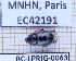 (Hybosorus arator - BC-LPRIG-0063)  @11 [ ] CC-By (2025) Rodolphe Rougerie MNHN