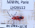  ( - BC-LPRIG-2213)  @11 [ ] CC-By (2025) Rodolphe Rougerie MNHN