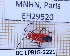  ( - BC-LPRIG-2221)  @11 [ ] CC-By (2025) Rodolphe Rougerie MNHN
