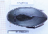  ( - BC-LPRIG-6226)  @11 [ ] CC-By (2025) Rodolphe Rougerie MNHN