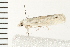  ( - 08BBLEP-01748)  @11 [ ] CreativeCommons - Attribution (2008) Unspecified Centre for Biodiversity Genomics