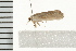  ( - 08BBLEP-01755)  @12 [ ] CreativeCommons - Attribution (2008) Unspecified Centre for Biodiversity Genomics