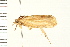  ( - 08BBLEP-01767)  @13 [ ] CreativeCommons - Attribution (2008) Unspecified Centre for Biodiversity Genomics