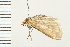 ( - 08BBLEP-01786)  @12 [ ] CreativeCommons - Attribution (2008) Unspecified Centre for Biodiversity Genomics