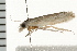  ( - 08BBLEP-01837)  @12 [ ] CreativeCommons - Attribution (2008) Unspecified Centre for Biodiversity Genomics