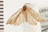  ( - 08BBLEP-01852)  @11 [ ] CreativeCommons - Attribution (2008) Unspecified Centre for Biodiversity Genomics
