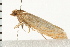  ( - 08BBLEP-01907)  @12 [ ] CreativeCommons - Attribution (2008) Unspecified Centre for Biodiversity Genomics