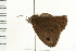  ( - 08BBLEP-01932)  @13 [ ] CreativeCommons - Attribution (2008) Unspecified Centre for Biodiversity Genomics
