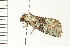 ( - PPBP-0427)  @12 [ ] CreativeCommons - Attribution (2008) Unspecified Centre for Biodiversity Genomics
