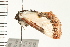  ( - PPBP-0433)  @12 [ ] CreativeCommons - Attribution (2008) Unspecified Centre for Biodiversity Genomics