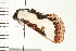  ( - PPBP-0434)  @12 [ ] CreativeCommons - Attribution (2008) Unspecified Centre for Biodiversity Genomics