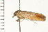  ( - PPBP-0454)  @12 [ ] CreativeCommons - Attribution (2008) Unspecified Centre for Biodiversity Genomics