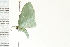  ( - PPBP-0575)  @12 [ ] CreativeCommons - Attribution (2008) Unspecified Centre for Biodiversity Genomics