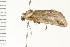  ( - PPBP-0585)  @12 [ ] CreativeCommons - Attribution (2008) Unspecified Centre for Biodiversity Genomics