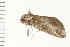  ( - PPBP-0586)  @12 [ ] CreativeCommons - Attribution (2008) Unspecified Centre for Biodiversity Genomics