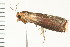  ( - PPBP-0610)  @12 [ ] CreativeCommons - Attribution (2008) Unspecified Centre for Biodiversity Genomics