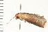  ( - PPBP-0618)  @12 [ ] CreativeCommons - Attribution (2008) Unspecified Centre for Biodiversity Genomics