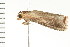  ( - PPBP-0717)  @12 [ ] CreativeCommons - Attribution (2008) Unspecified Centre for Biodiversity Genomics