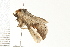  ( - PPBP-0744)  @12 [ ] CreativeCommons - Attribution (2008) Unspecified Centre for Biodiversity Genomics