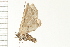 ( - PPBP-0752)  @12 [ ] CreativeCommons - Attribution (2008) Unspecified Centre for Biodiversity Genomics