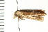  ( - PPBP-0769)  @12 [ ] CreativeCommons - Attribution (2008) Unspecified Centre for Biodiversity Genomics