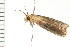  ( - PPBP-0771)  @12 [ ] CreativeCommons - Attribution (2008) Unspecified Centre for Biodiversity Genomics