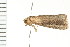  ( - PPBP-0772)  @12 [ ] CreativeCommons - Attribution (2008) Unspecified Centre for Biodiversity Genomics