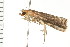  ( - PPBP-0774)  @12 [ ] CreativeCommons - Attribution (2008) Unspecified Centre for Biodiversity Genomics