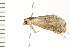  ( - PPBP-0782)  @12 [ ] CreativeCommons - Attribution (2008) Unspecified Centre for Biodiversity Genomics