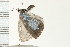  ( - PPBP-0814)  @13 [ ] CreativeCommons - Attribution (2008) Unspecified Centre for Biodiversity Genomics