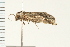  ( - PPBP-0836)  @13 [ ] CreativeCommons - Attribution (2008) Unspecified Centre for Biodiversity Genomics
