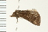  ( - PPBP-0839)  @12 [ ] CreativeCommons - Attribution (2008) Unspecified Centre for Biodiversity Genomics