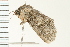  ( - PPBP-0843)  @12 [ ] CreativeCommons - Attribution (2008) Unspecified Centre for Biodiversity Genomics