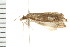  ( - PPBP-0922)  @12 [ ] CreativeCommons - Attribution (2008) Unspecified Centre for Biodiversity Genomics
