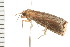  ( - PPBP-0937)  @12 [ ] CreativeCommons - Attribution (2008) Unspecified Centre for Biodiversity Genomics