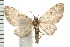  ( - PPBP-0986)  @14 [ ] CreativeCommons - Attribution (2008) Unspecified Centre for Biodiversity Genomics