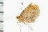  ( - PPBP-1055)  @12 [ ] CreativeCommons - Attribution (2008) Unspecified Centre for Biodiversity Genomics