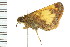  ( - PPBP-1159)  @12 [ ] CreativeCommons - Attribution (2008) Unspecified Centre for Biodiversity Genomics