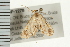  ( - PPBP-1278)  @13 [ ] CreativeCommons - Attribution (2008) Unspecified Centre for Biodiversity Genomics