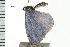  ( - PPBP-1331)  @13 [ ] CreativeCommons - Attribution (2008) Unspecified Centre for Biodiversity Genomics