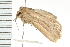 ( - PPBP-1384)  @12 [ ] CreativeCommons - Attribution (2008) Unspecified Centre for Biodiversity Genomics