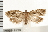  ( - PPBP-1539)  @13 [ ] CreativeCommons - Attribution (2008) Unspecified Centre for Biodiversity Genomics