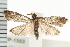  ( - PPBP-1553)  @13 [ ] CreativeCommons - Attribution (2008) Unspecified Centre for Biodiversity Genomics