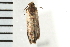  ( - PPBP-1762)  @12 [ ] CreativeCommons - Attribution (2008) Unspecified Centre for Biodiversity Genomics
